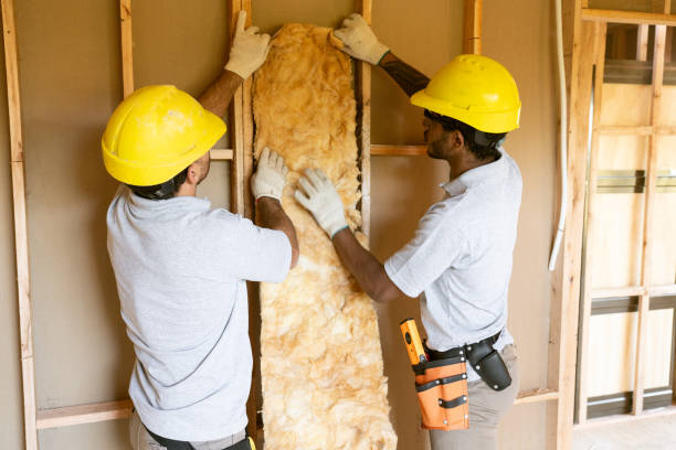 Best Insulation Contractor Near Me  in Plain City, OH